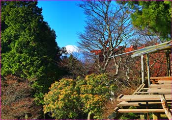 茶屋に富士山