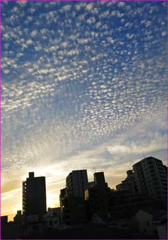 藤沢の朝雲