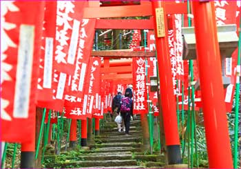 稲荷佐助鳥居トンネル