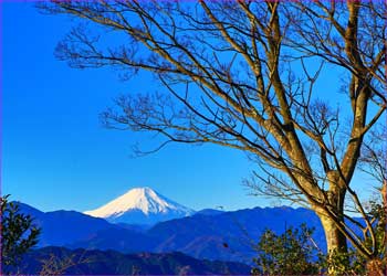 高尾山から富士山