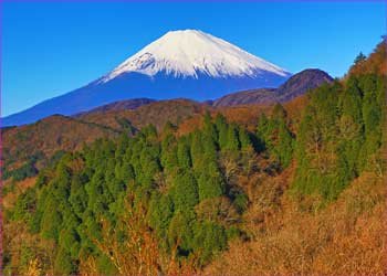 富士山望む