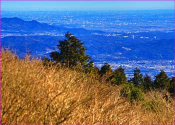 東京方面遠望