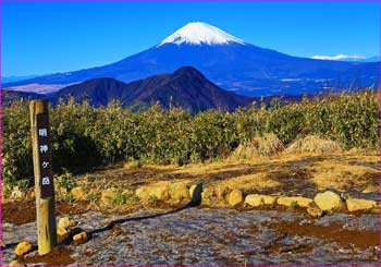 明神ヶ岳山頂