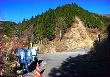 秦野峠林道