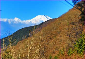 峠から富士山