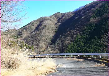 秦野峠林道