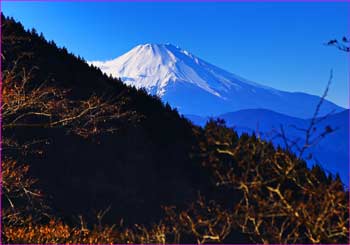 ブッツエ峠から富士山