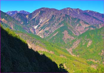 シダンゴ山から丹沢