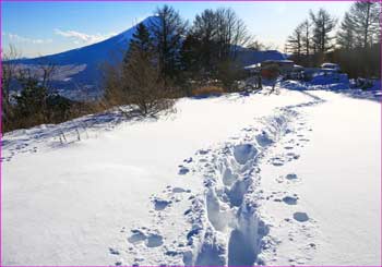 広場の雪道