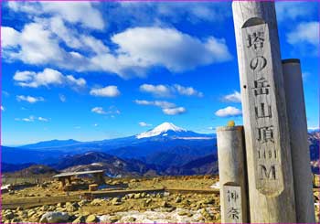 塔ノ岳山頂