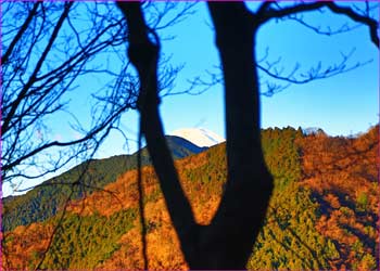 富士山のぞく