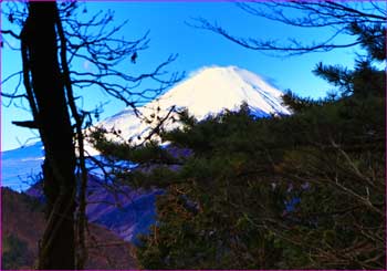 富士山