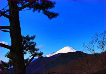 尾根から富士山