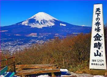 金時山から富士山