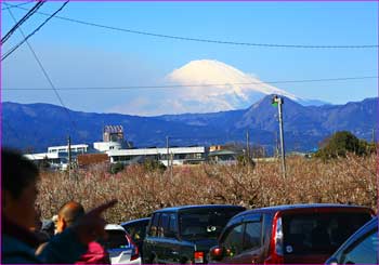 富士山見ゆ