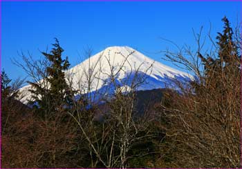 櫟山から富士山