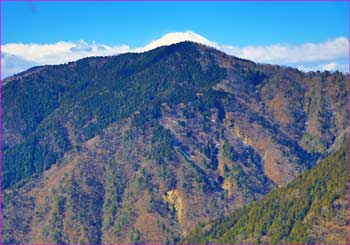 富士山のぞく