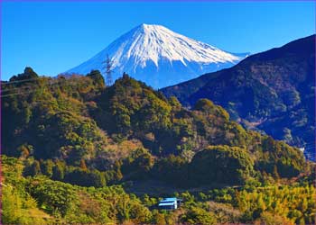 富士山展望