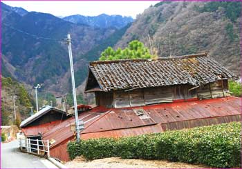 新田の廃屋