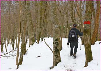 年配の登山者が