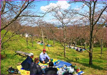 塚山公園花見