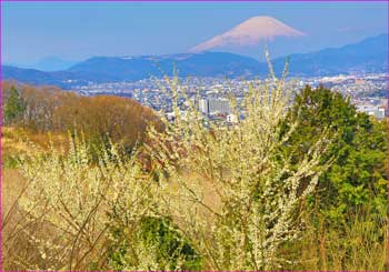 富士山望む