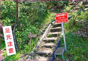 弘法山登山口