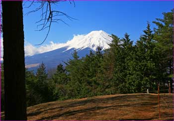 アヤメ平の富士