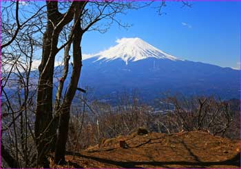 霜山から富士