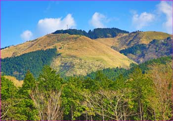 大野山望む