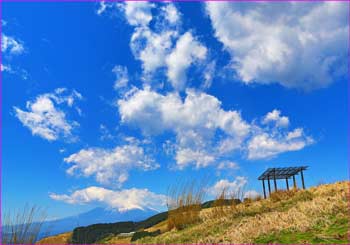 大野山雲わく