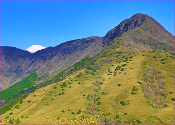 矢倉沢峠上から金時山