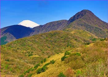 明神ヶ岳から富士山