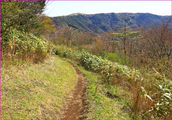 明神ヶ岳めざして