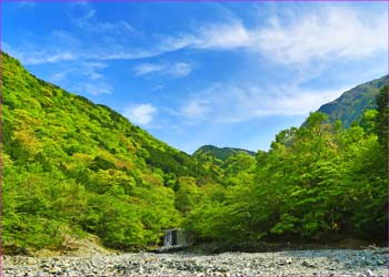 寄沢快晴