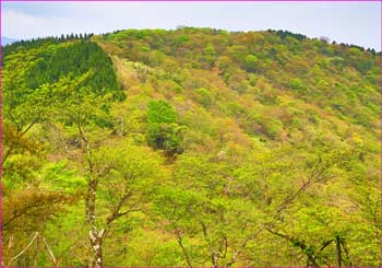 雨山