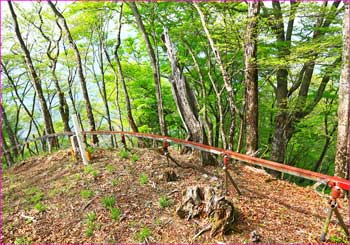 山神峠への尾根道