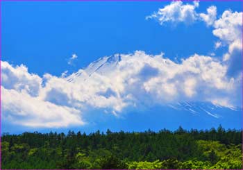 籠坂峠富士