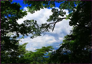 生憎雲が