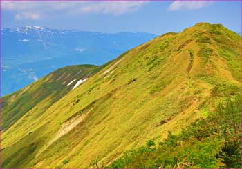 松手山尾根