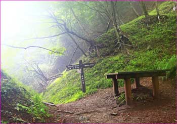 雨山峠