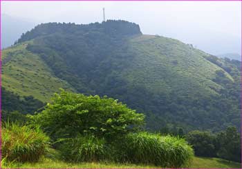 大野山東尾根