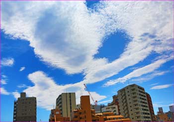 雨上がりに