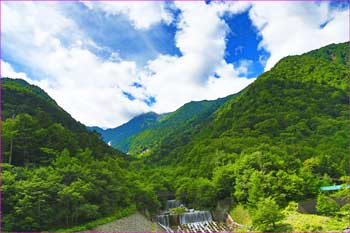 大樺沢から北岳