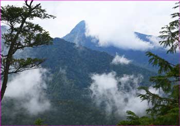 根名草山雲って