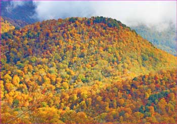 黒姫山麓紅葉