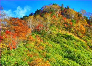 戸隠紅葉