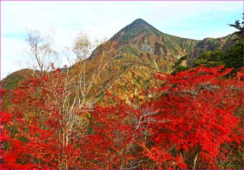 高松山望む