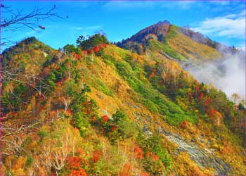 戸隠五地蔵山尾根の秋