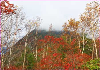 高妻山雲の中